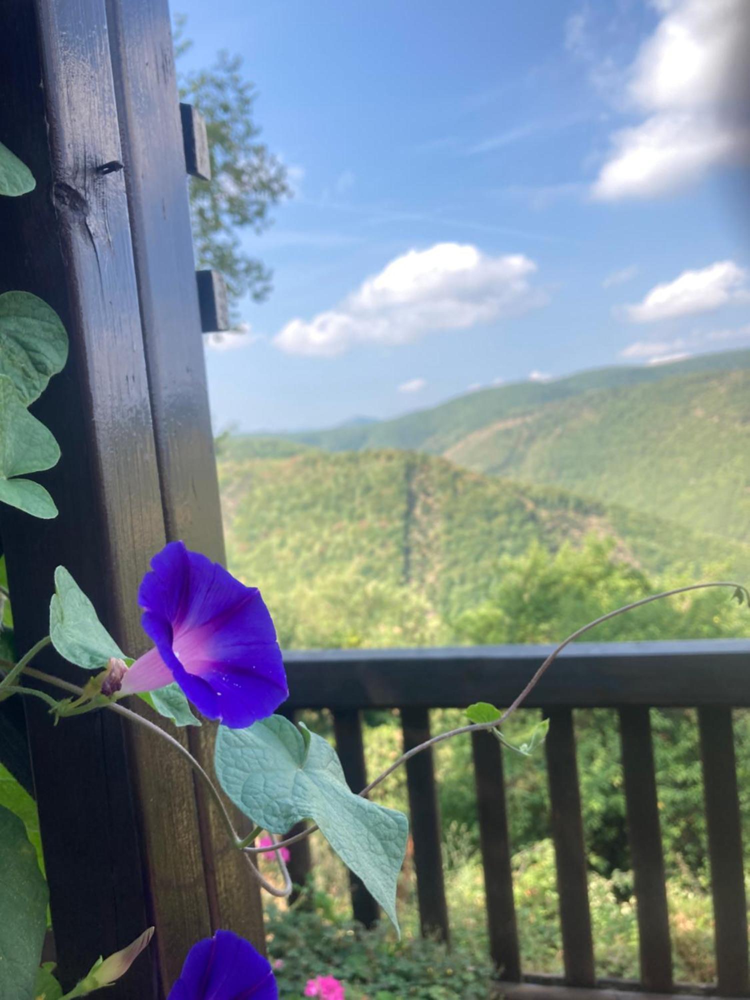 Agriturismo Becerca Vegan Serra San Quirico Exterior photo