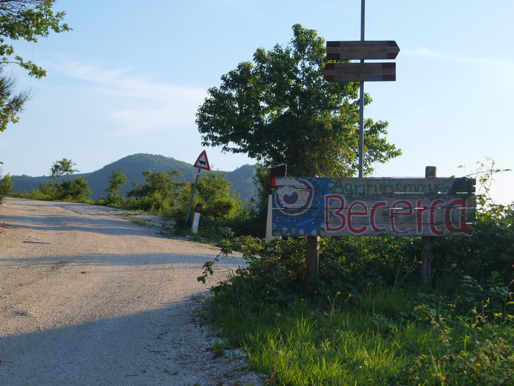 Agriturismo Becerca Vegan Serra San Quirico Exterior photo