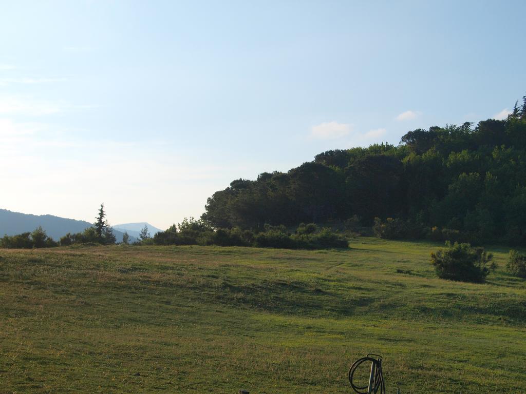 Agriturismo Becerca Vegan Serra San Quirico Exterior photo