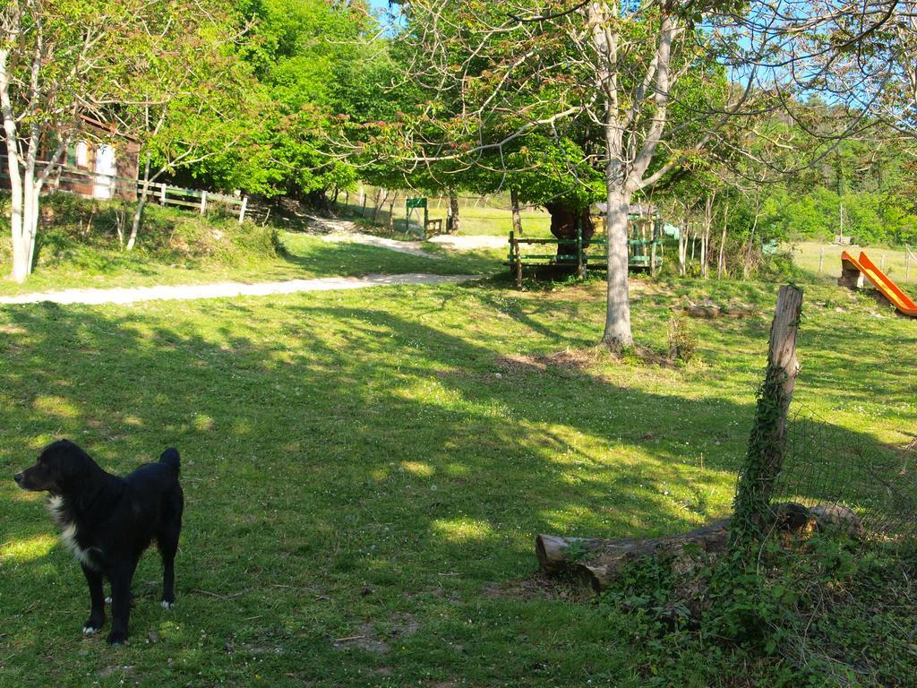 Agriturismo Becerca Vegan Serra San Quirico Exterior photo