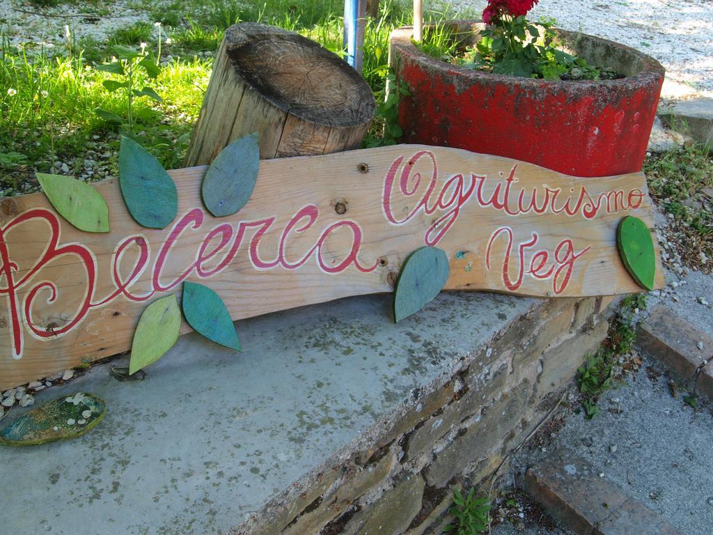 Agriturismo Becerca Vegan Serra San Quirico Exterior photo