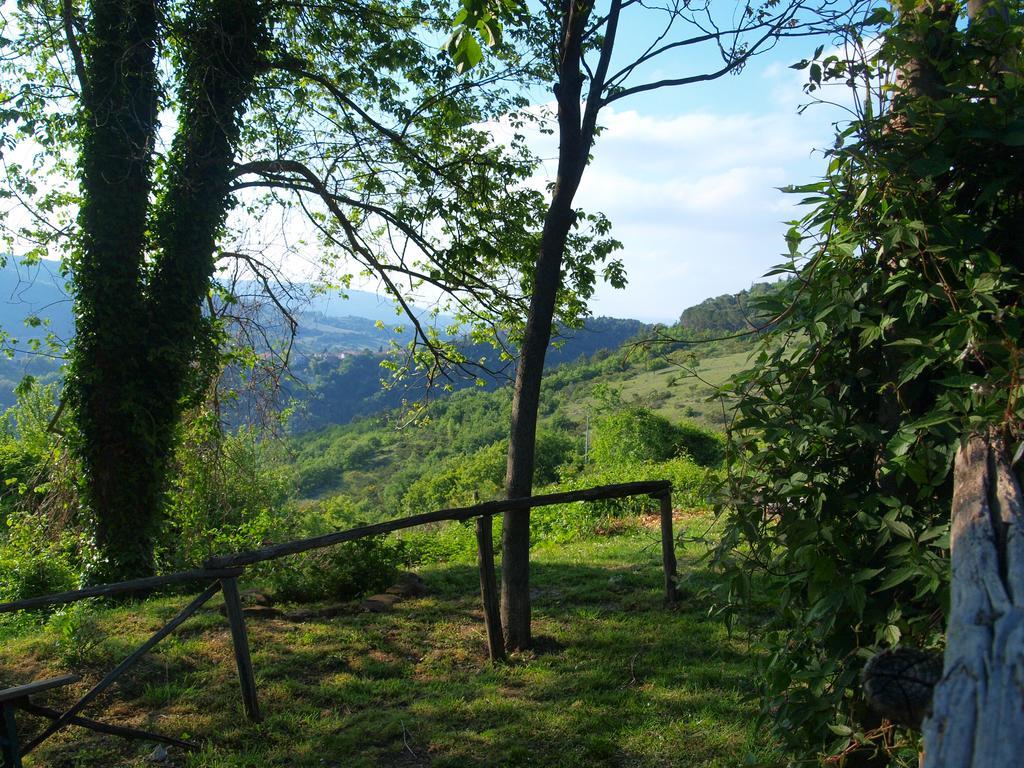 Agriturismo Becerca Vegan Serra San Quirico Exterior photo